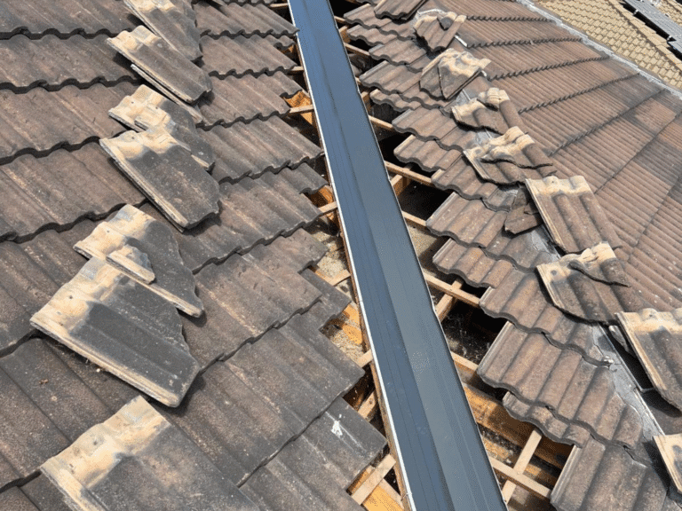 Untitled design - 2025-08-27T125527