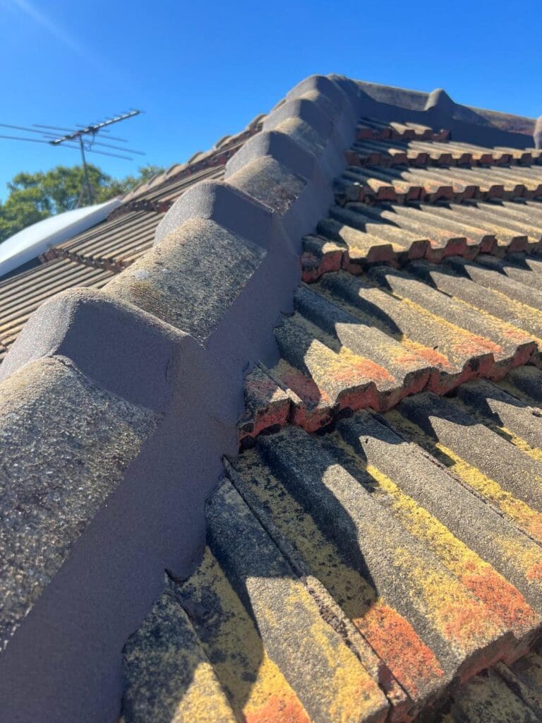 tiled roof restoration adelaide